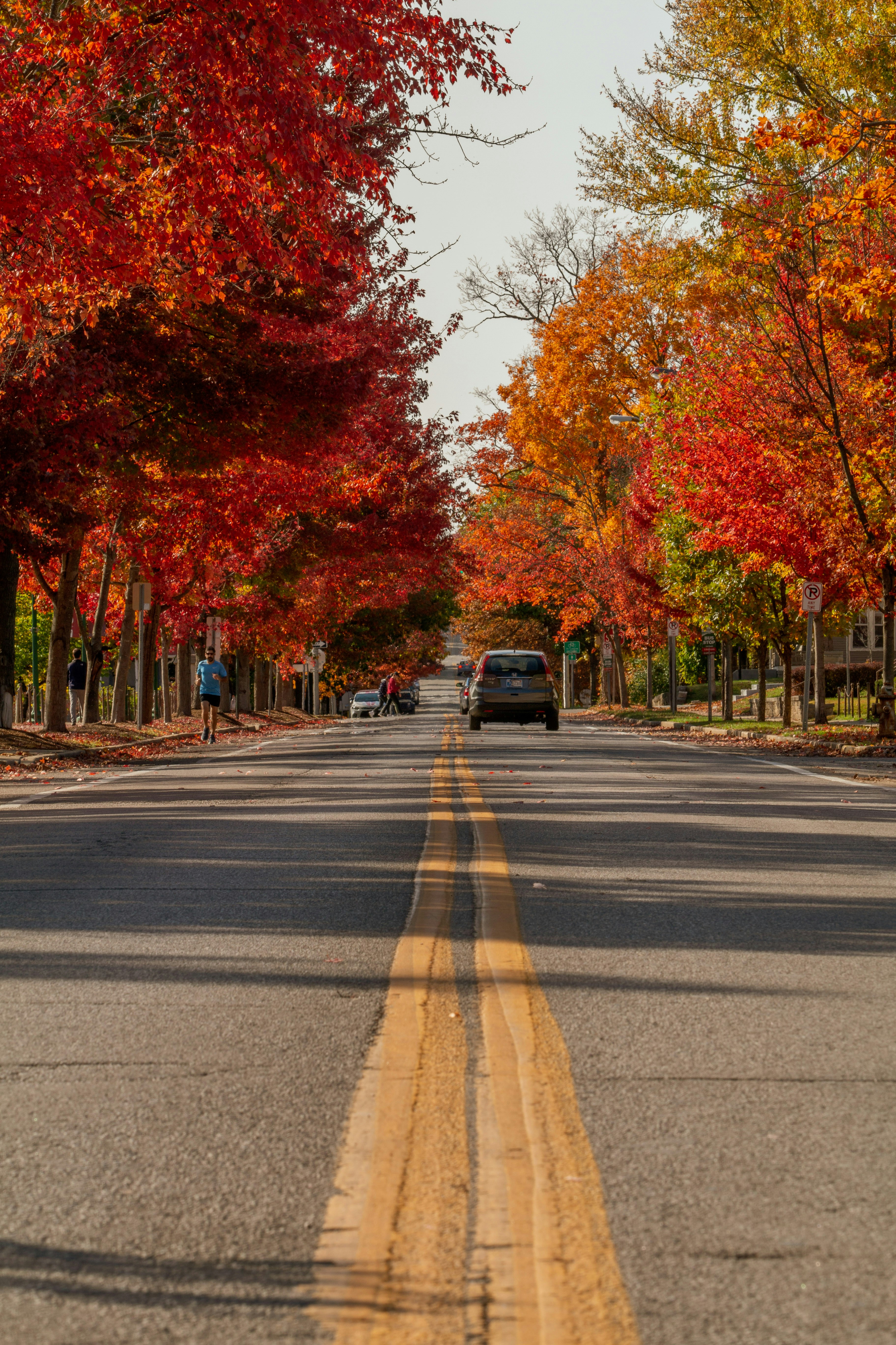 Photo by lucasbeckphotography