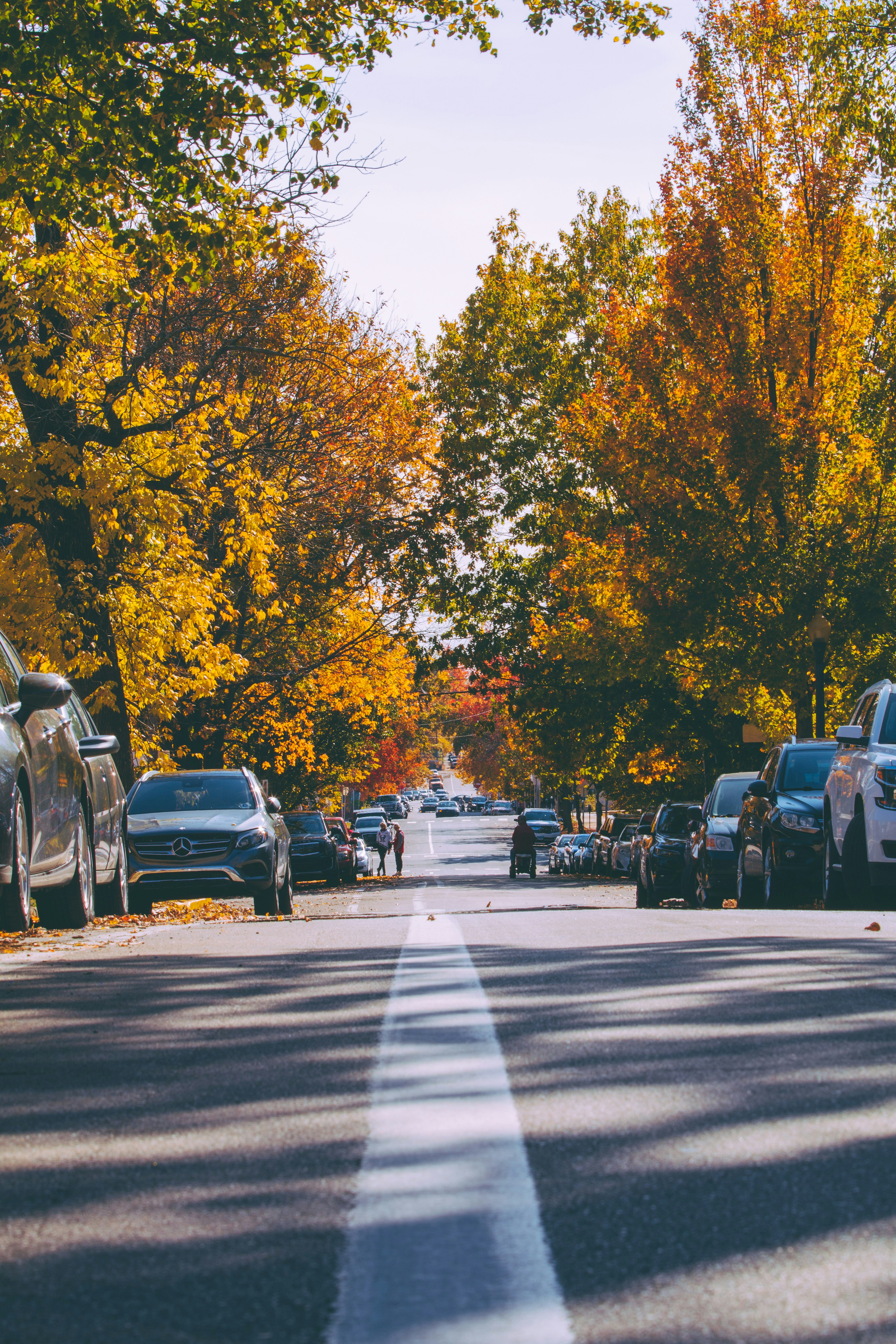 Photo by lucasbeckphotography