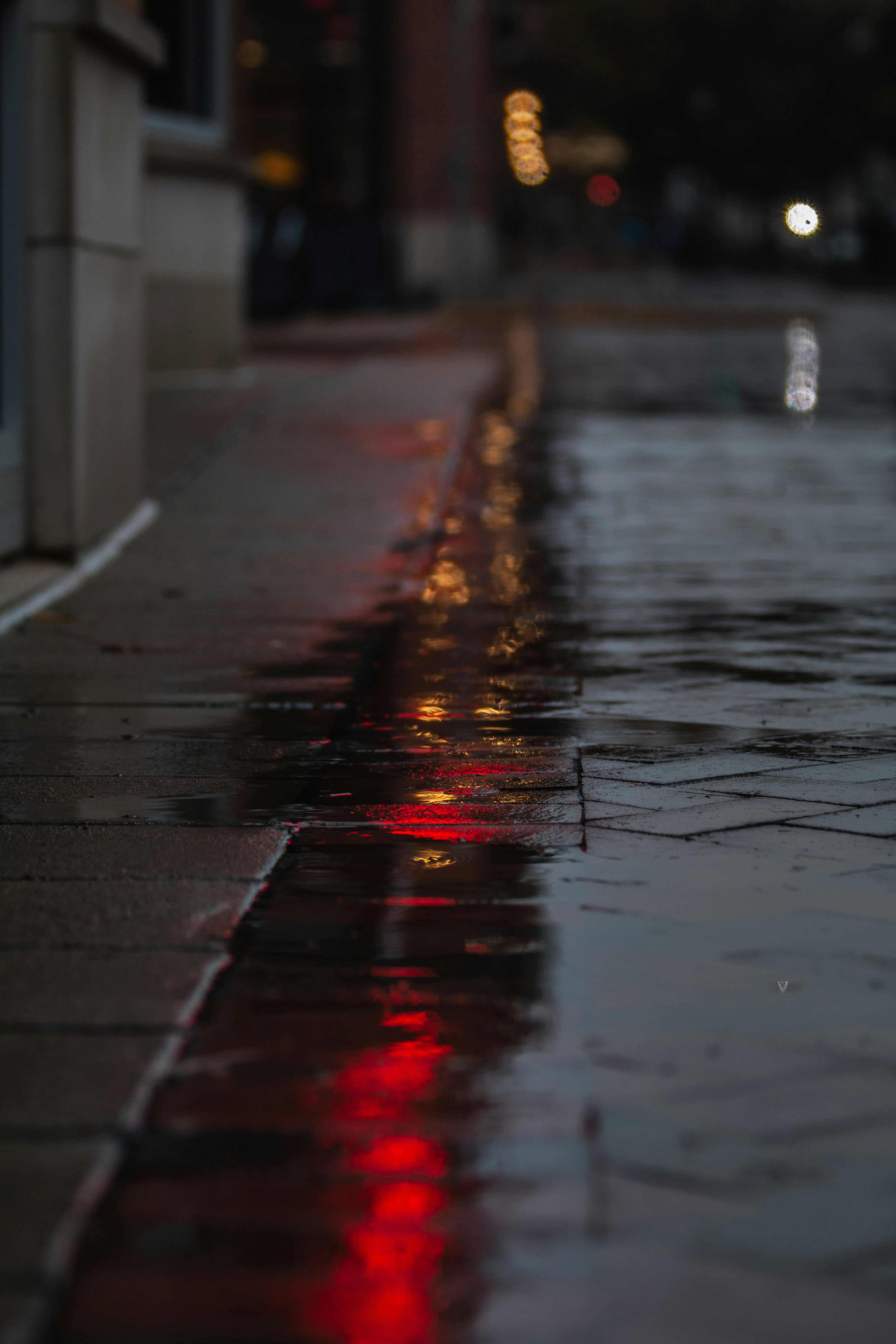 Photo by lucasbeckphotography