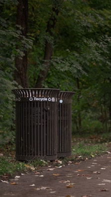 A recycling bin is positioned on a forested pathway, surrounded by lush green trees and scattered fallen leaves. The ground is a paved path lined with grass on the edges.