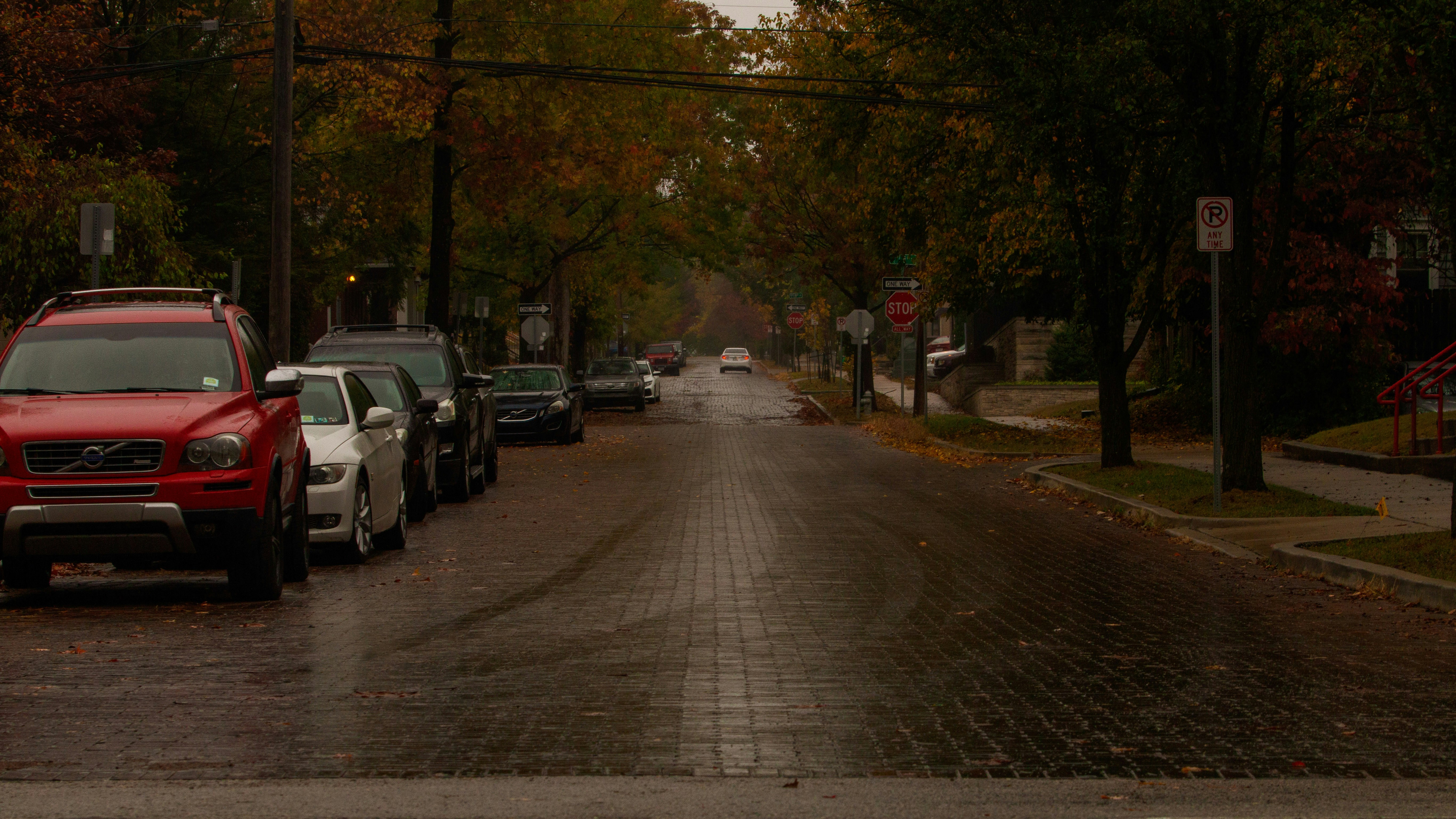 Photo by lucasbeckphotography