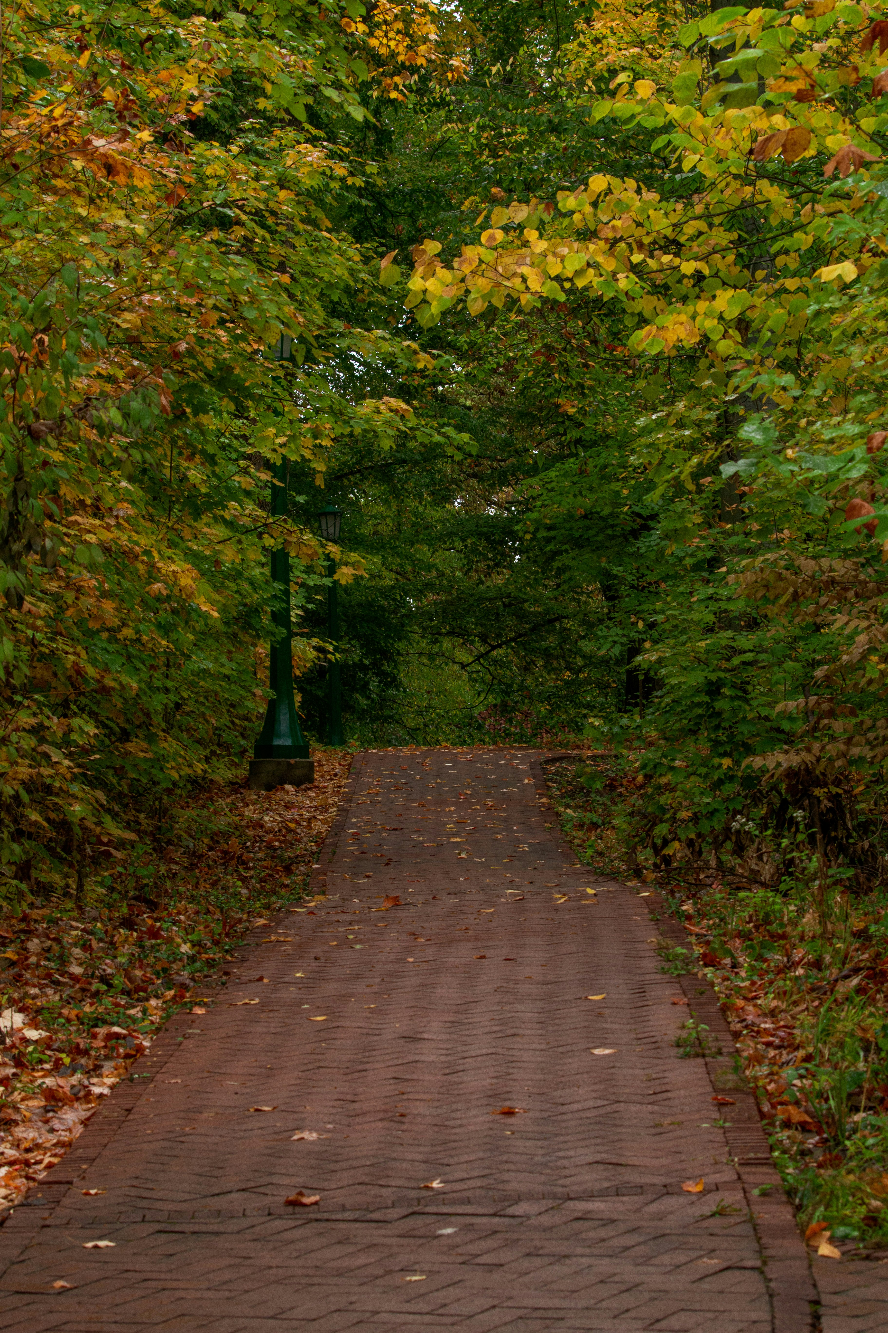 Photo by lucasbeckphotography