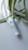 A small white tube of skincare product lies on a light background, with large green and white striped leaves partially draped over it. The tube has blue and black text printed on it.