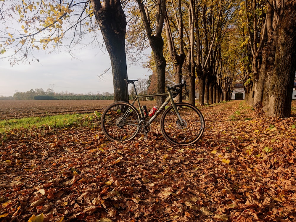 Bicicleta de montaña negra y roja estacionada junto a un árbol marrón durante el día