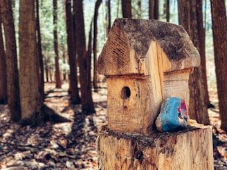 Birdhouses and handmade natural art displayed in a woodland setting.