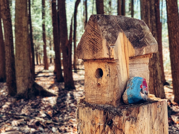 Birdhouses and handmade natural art displayed in a woodland setting.