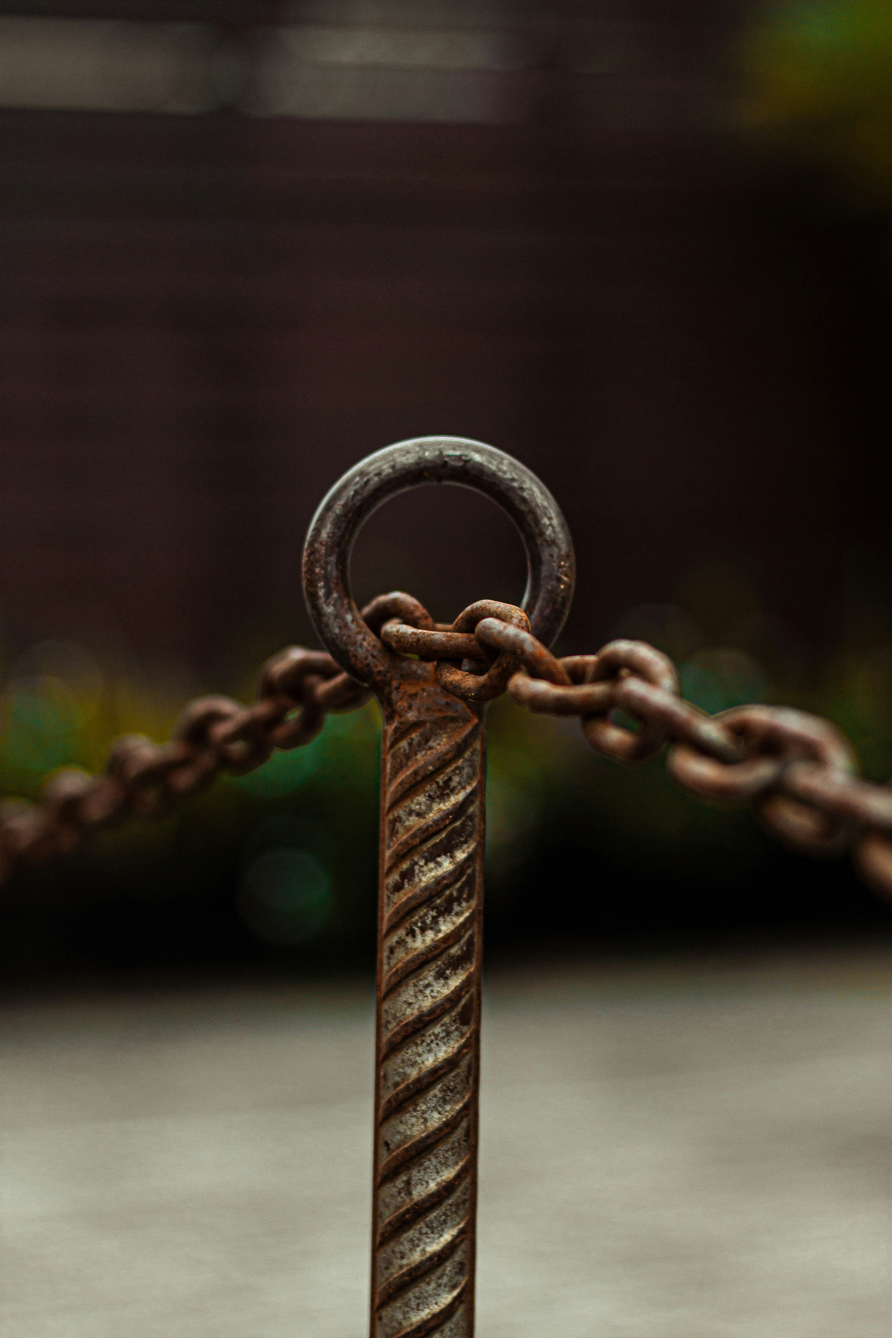 Photo by gabrieltfotografia