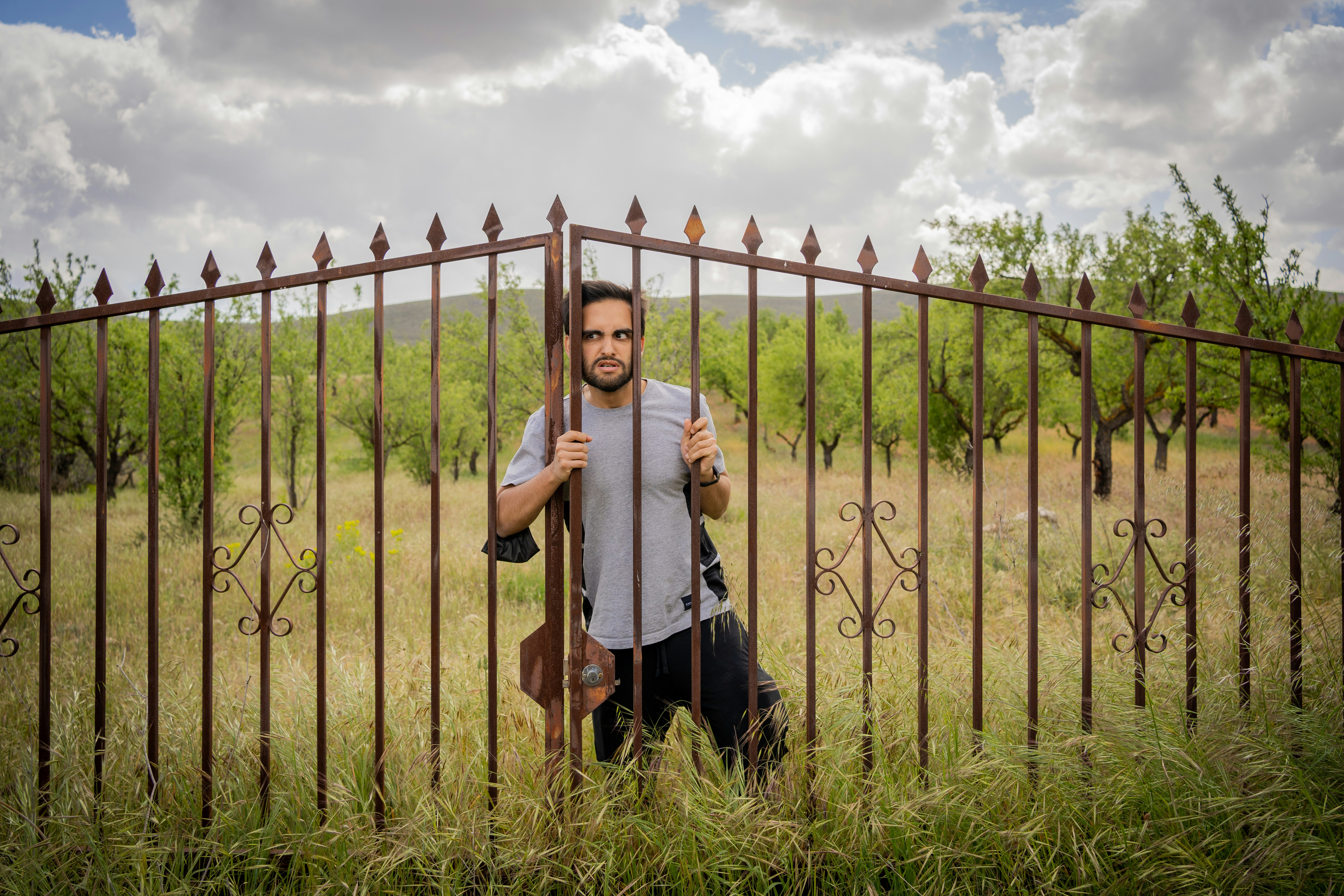 woman in black dress sitting on green grass field