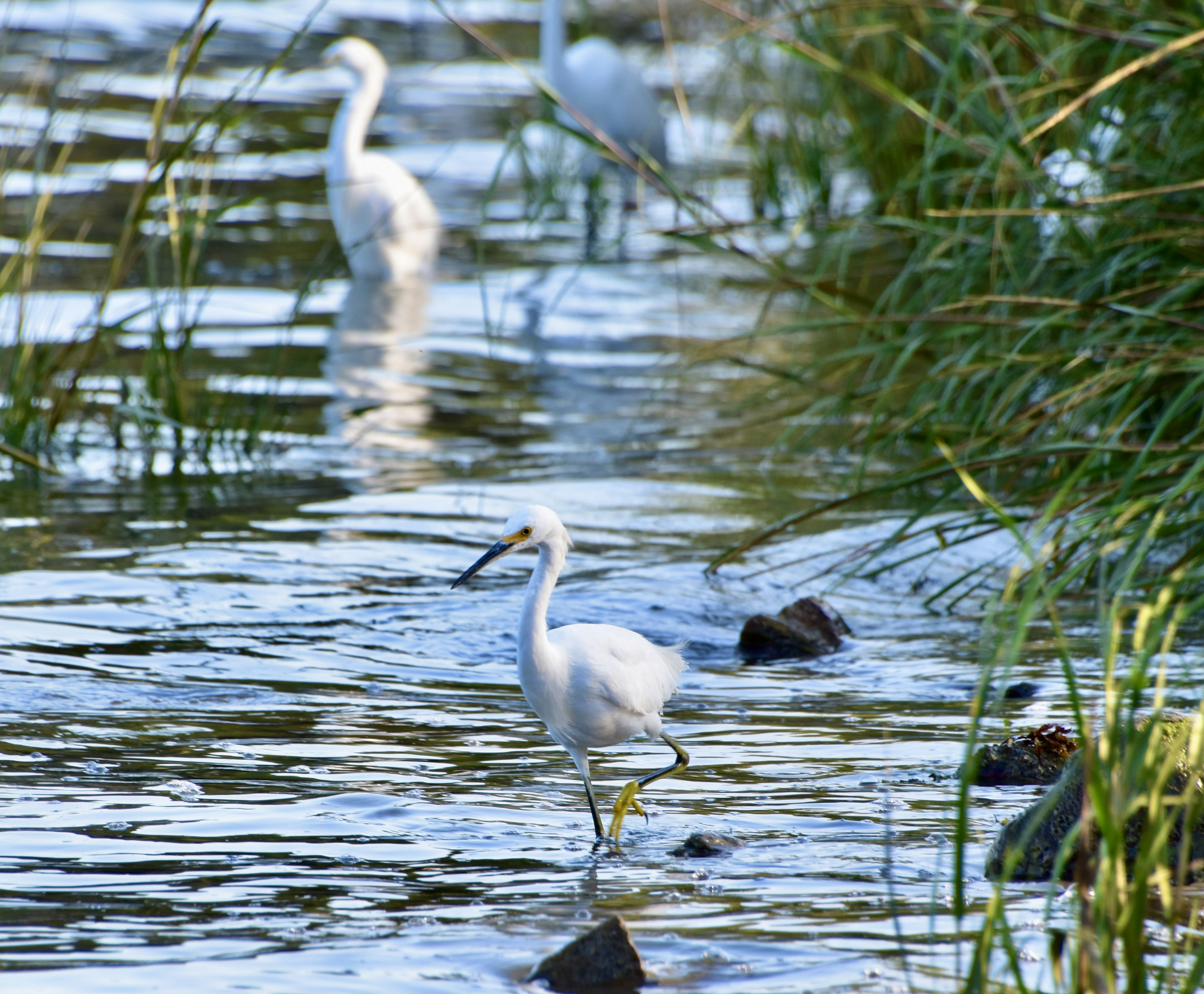 Photo by cindie_photographer