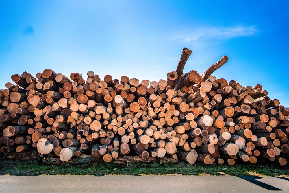 pila de troncos de madera marrón