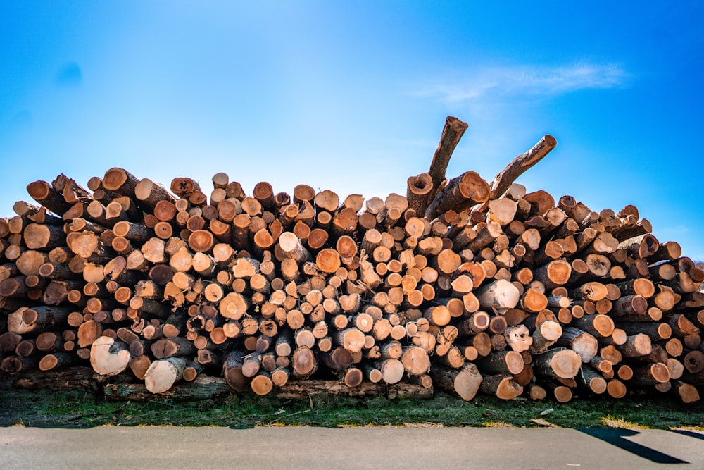 pile of brown wood logs