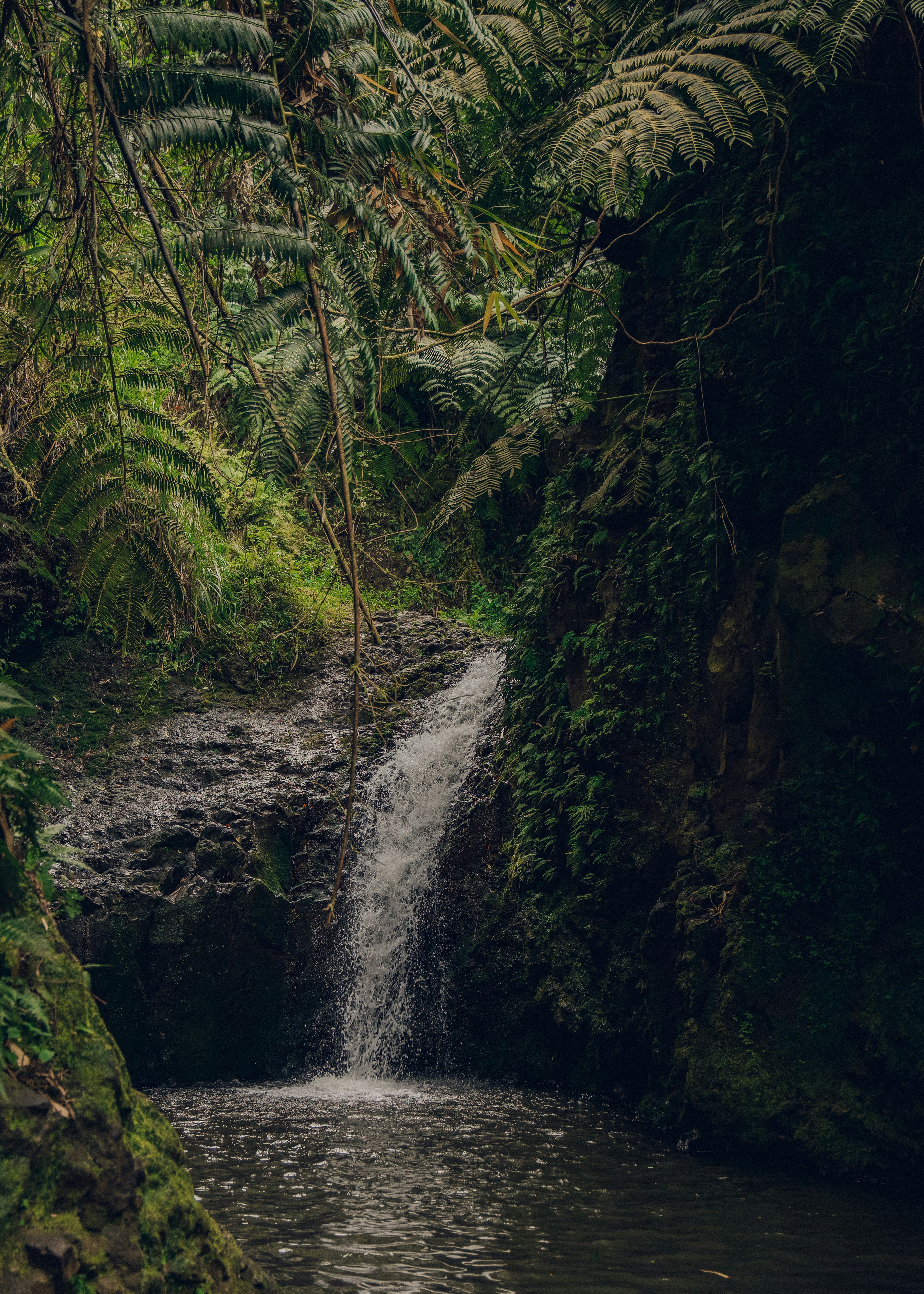 Photo by kevin_turcios