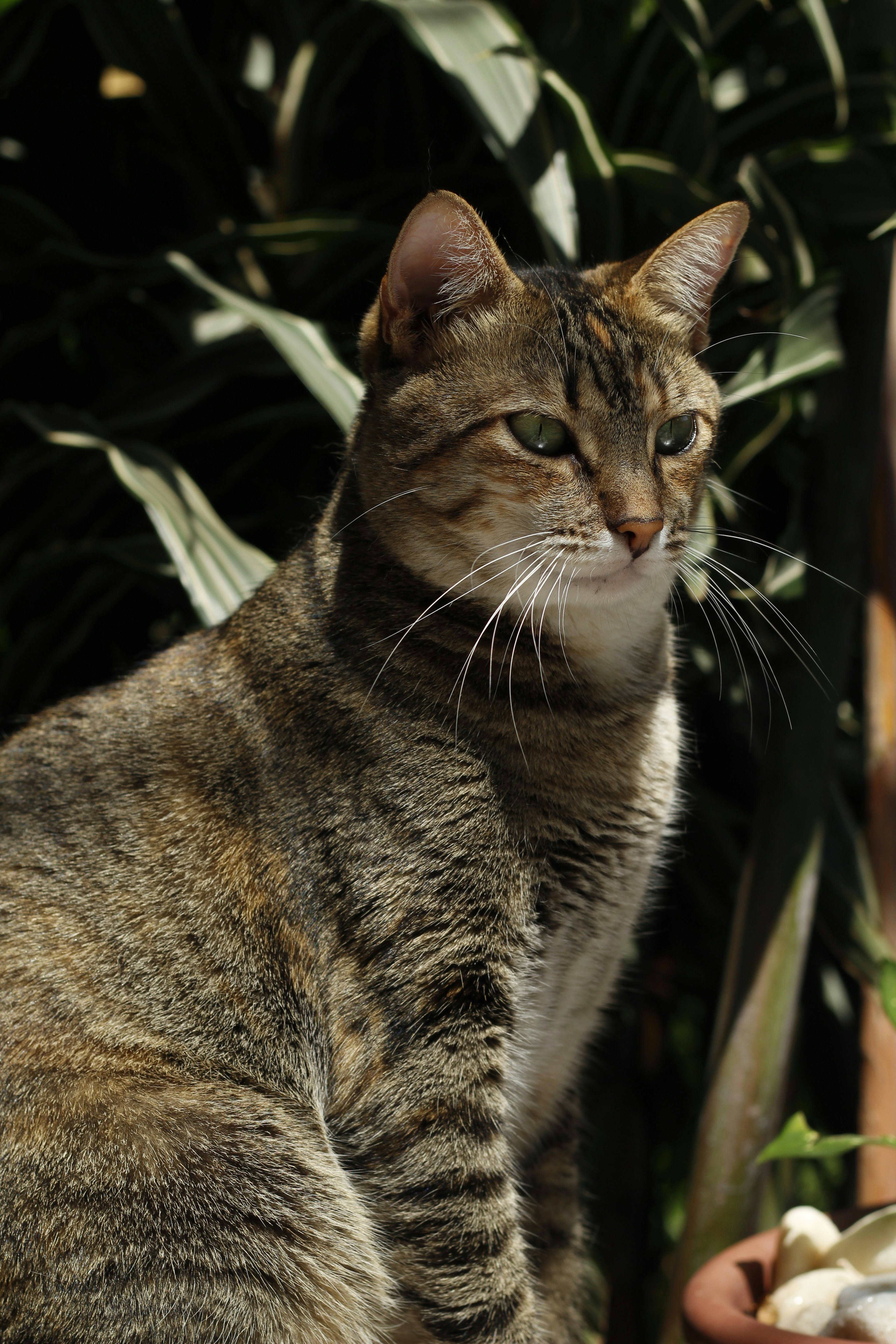 Photo by giisilveira