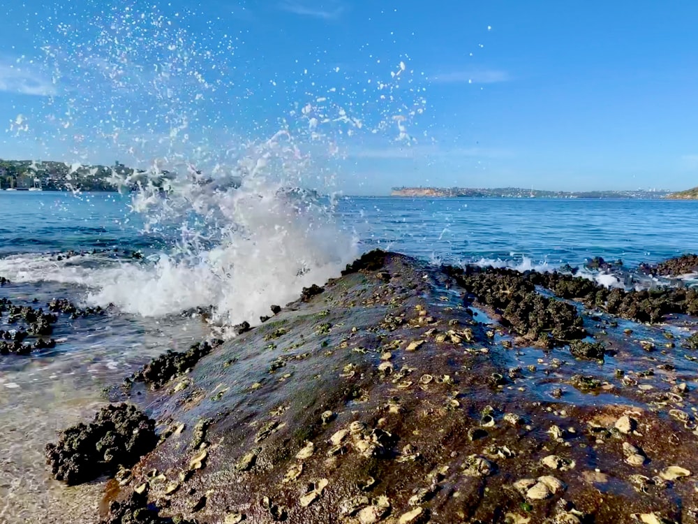 ocean waves crashing on rocky shore during daytime