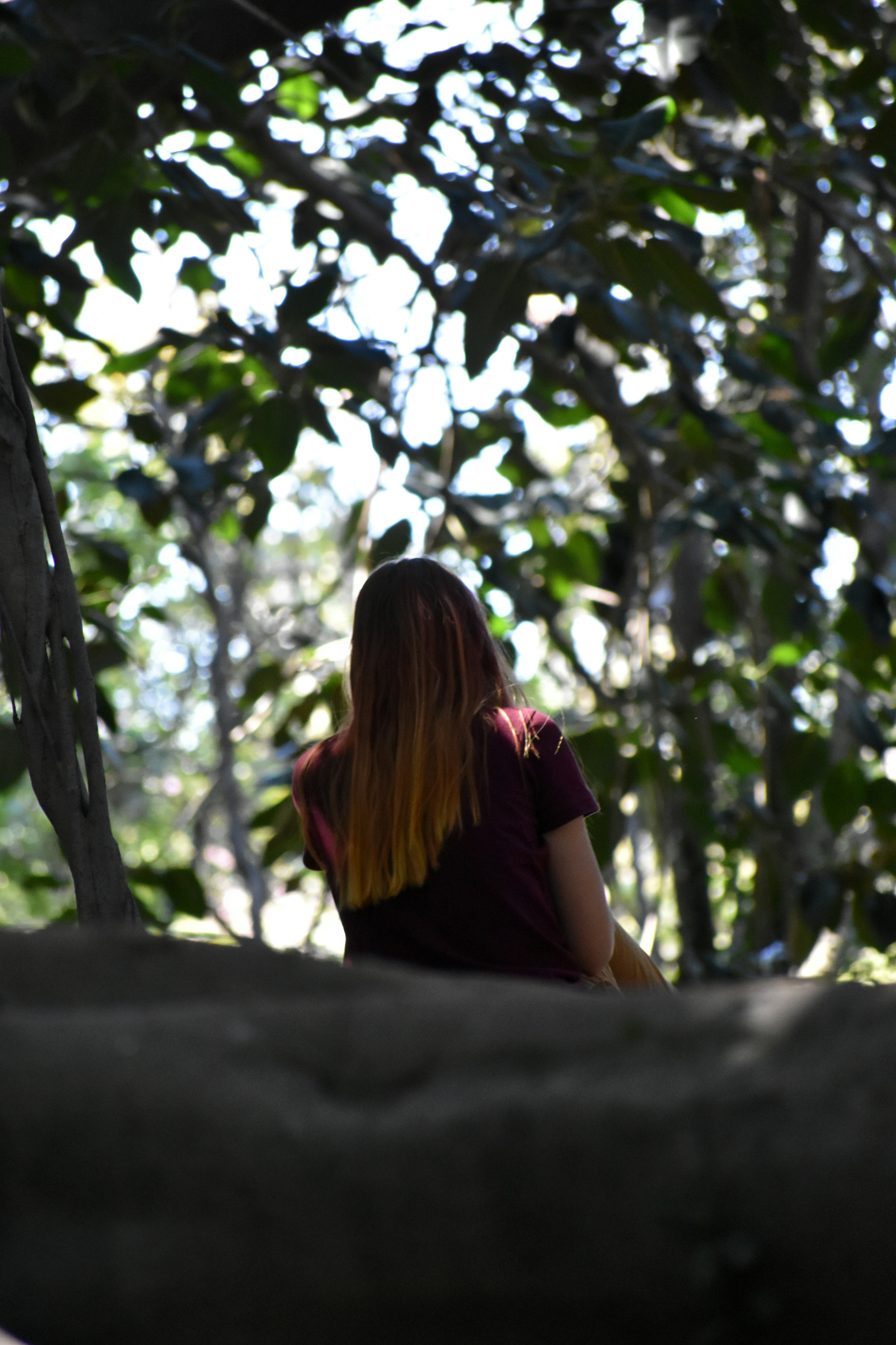 Photo by janinekrobinson