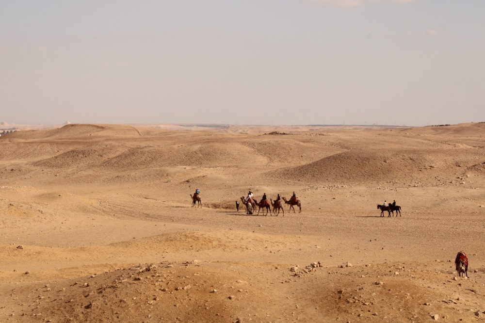 people riding camel on desert during daytime