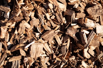 A close-up view of a pile of wood chips in various shades of brown. The wood pieces are irregularly shaped and vary in size, showing rough textures and fibrous details.