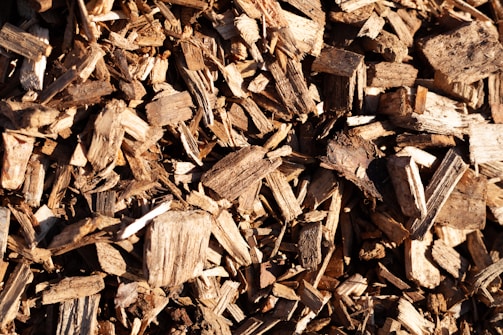 Close-up of rich, neatly stacked wood chips ready for biofuel production.