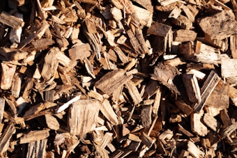 A close-up view of a pile of wood chips in various shades of brown. The wood pieces are irregularly shaped and vary in size, showing rough textures and fibrous details.