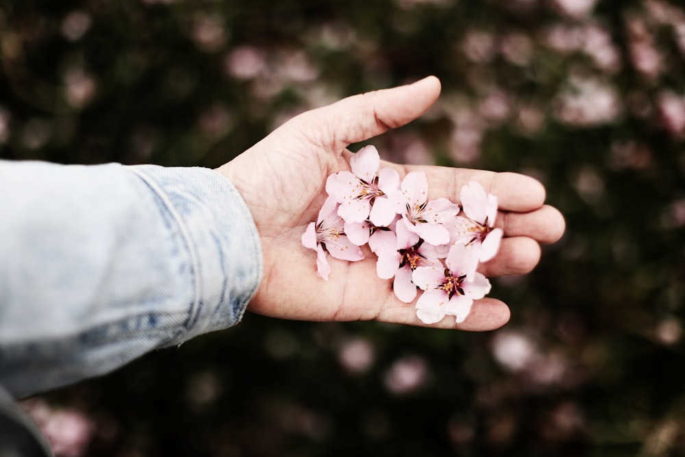 white flower on persons hand