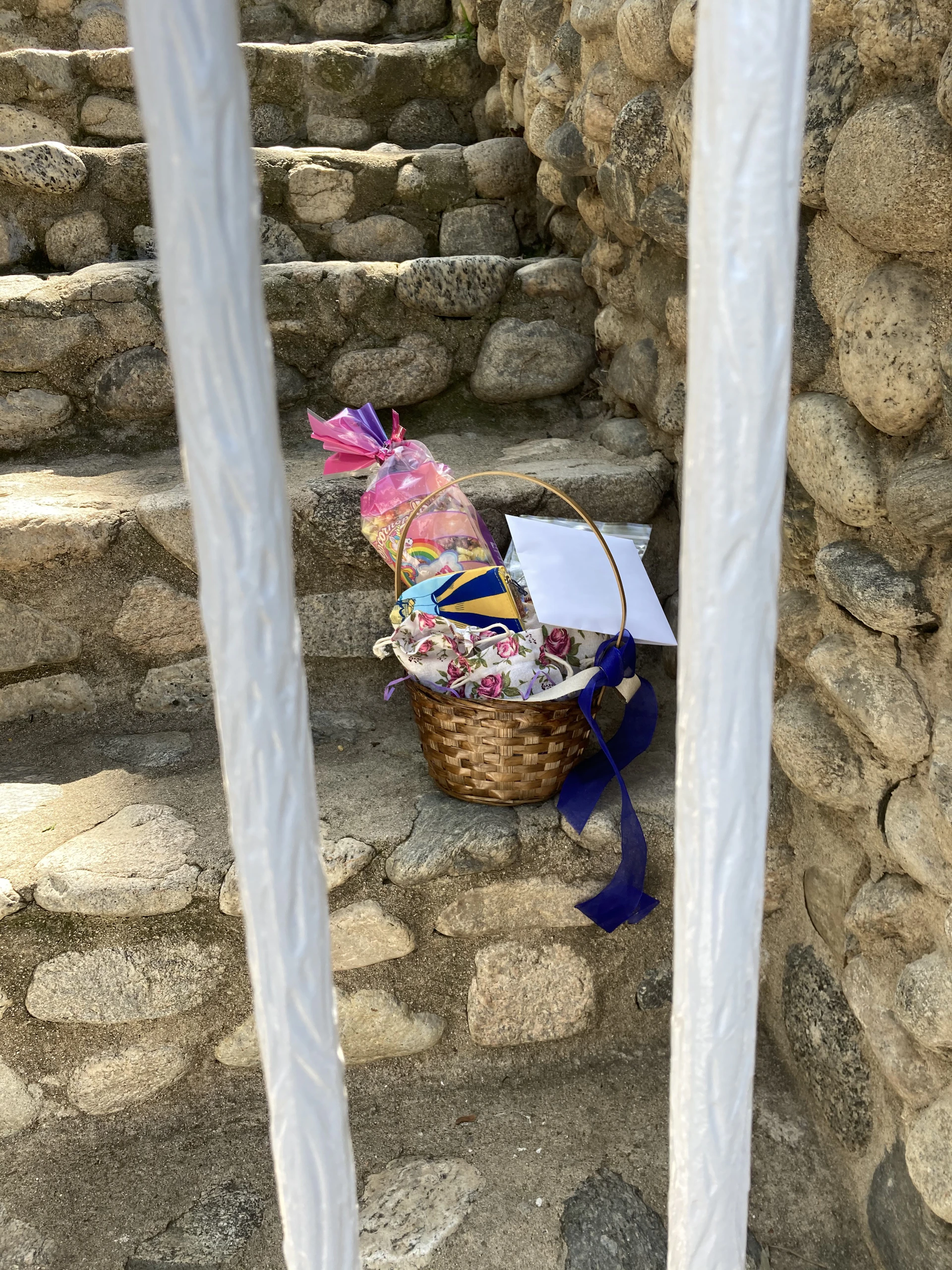 woman holding dried flower