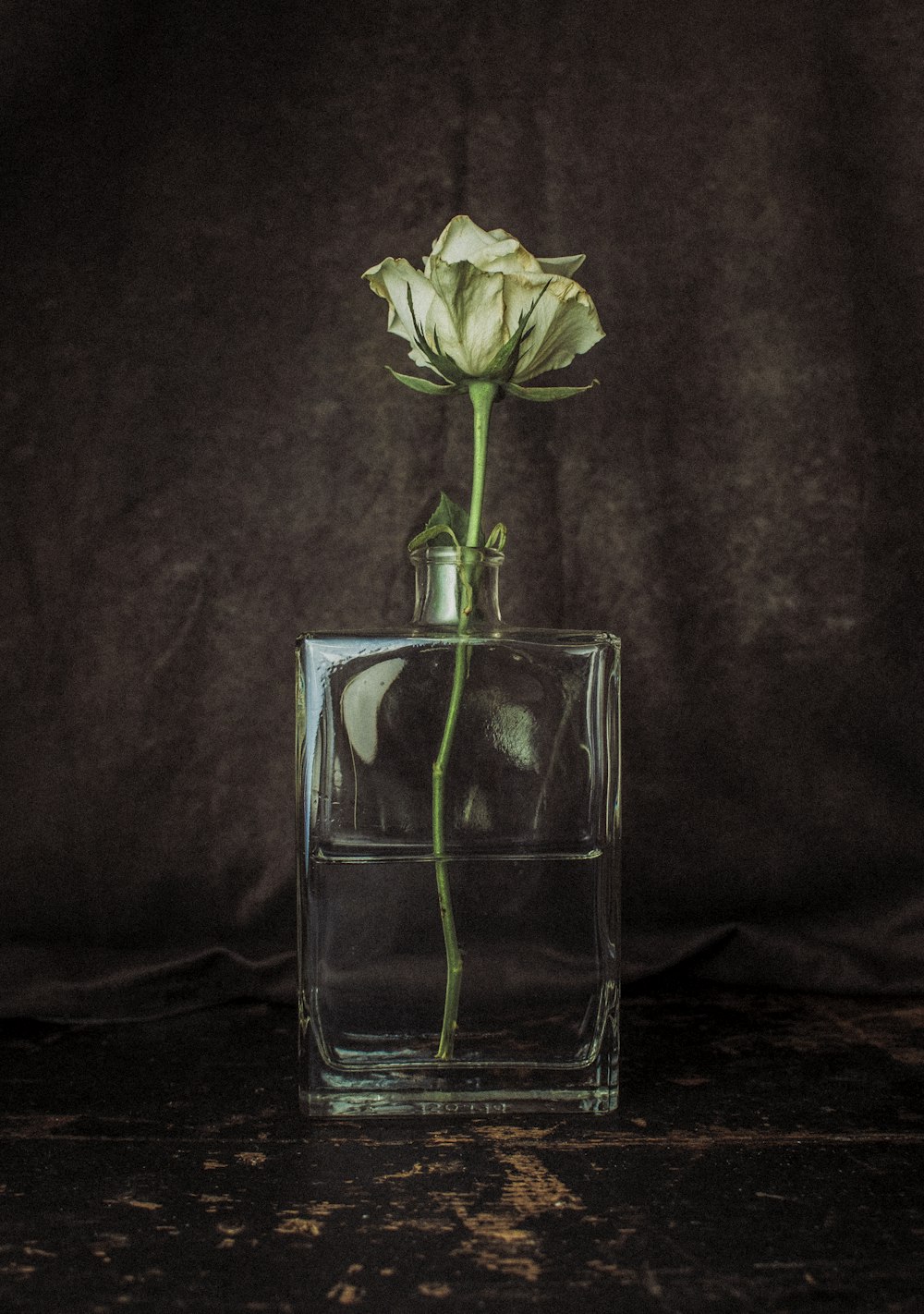 rosa branca no vaso de vidro transparente