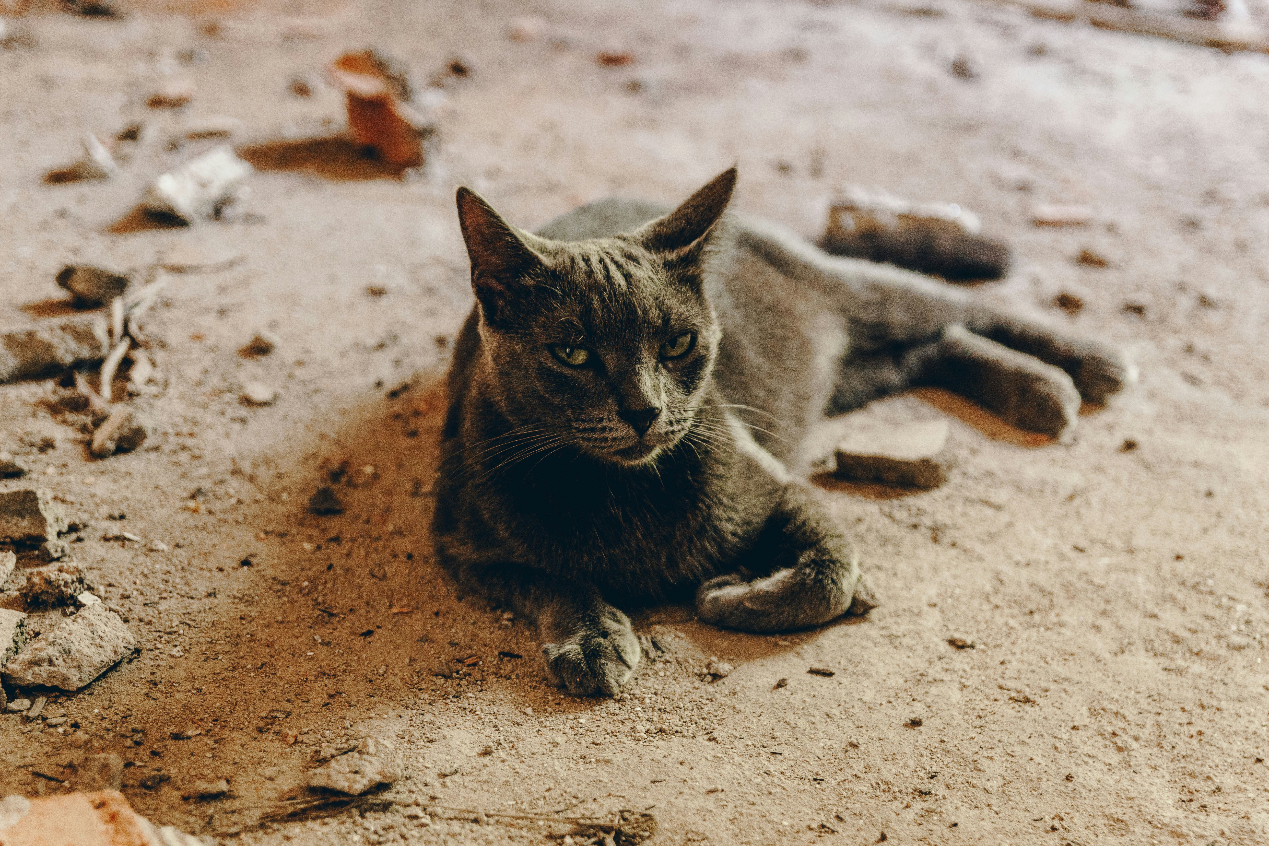 Photo by fabyanesalles