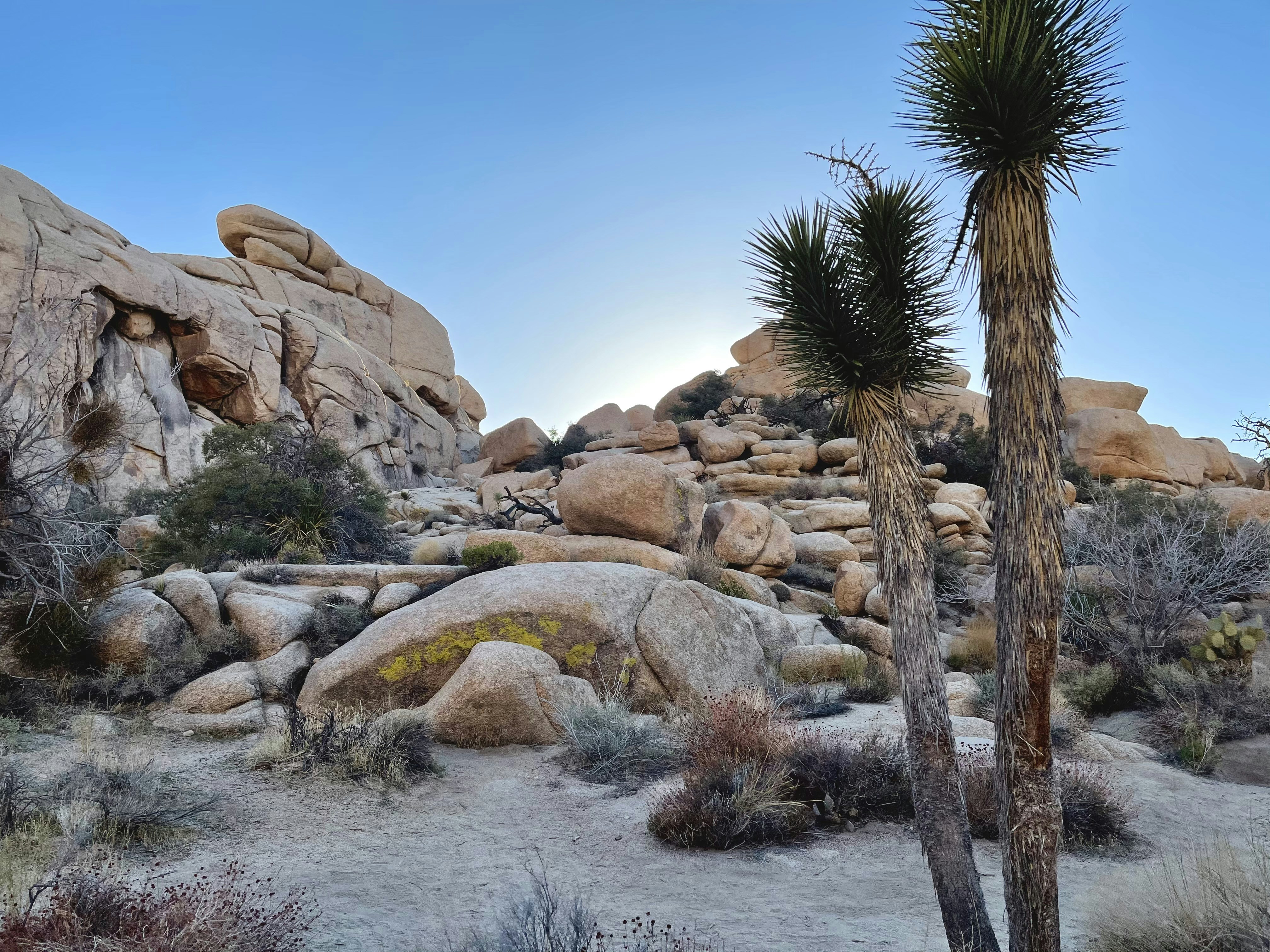 Photo by linabarzeva