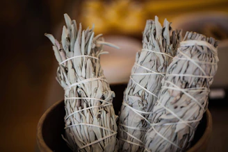 white flowers on brown wooden pot