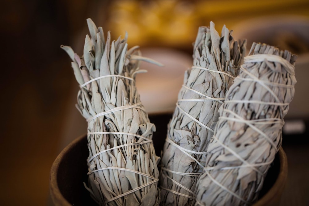 white flowers on brown wooden pot