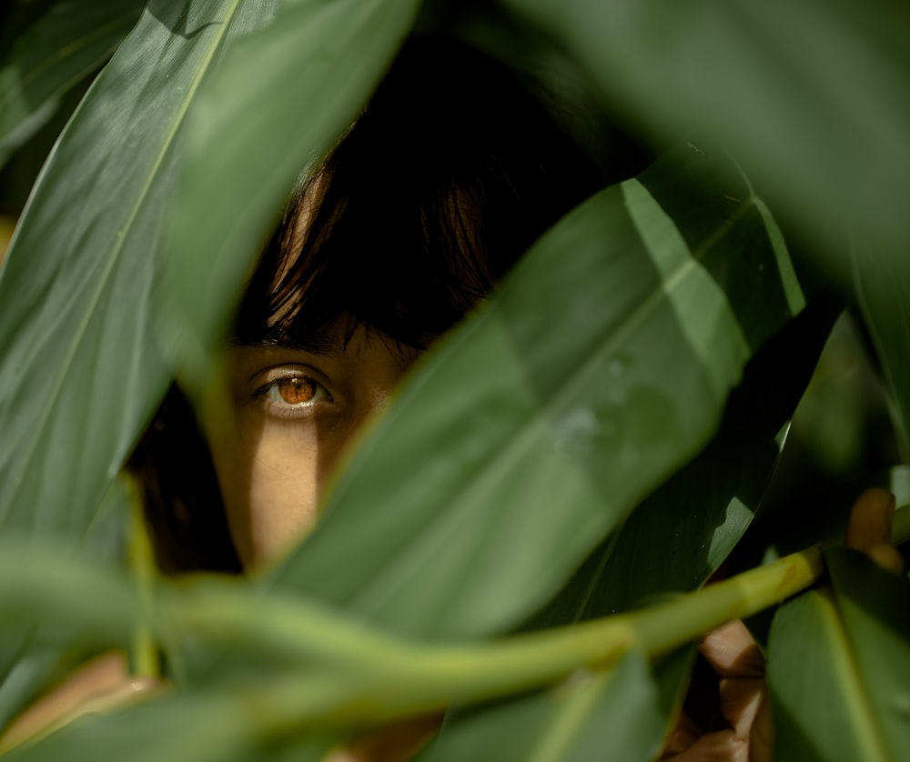 woman hiding behind green leaves
