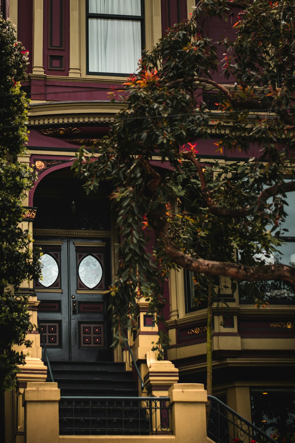 Árbol verde y rojo cerca de la puerta de madera marrón