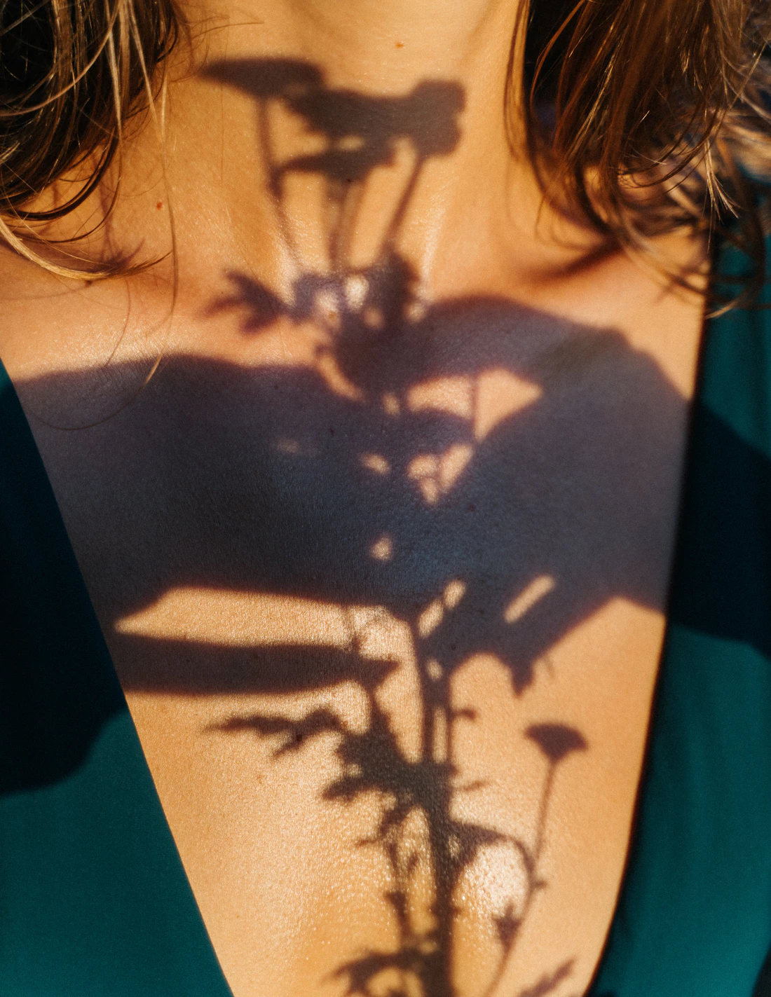 Plant shadows and soft sunlight across a woman's neck and chest, head cropped at the hairline (soft-light-on-skin stand-in for sun-damaged skin)