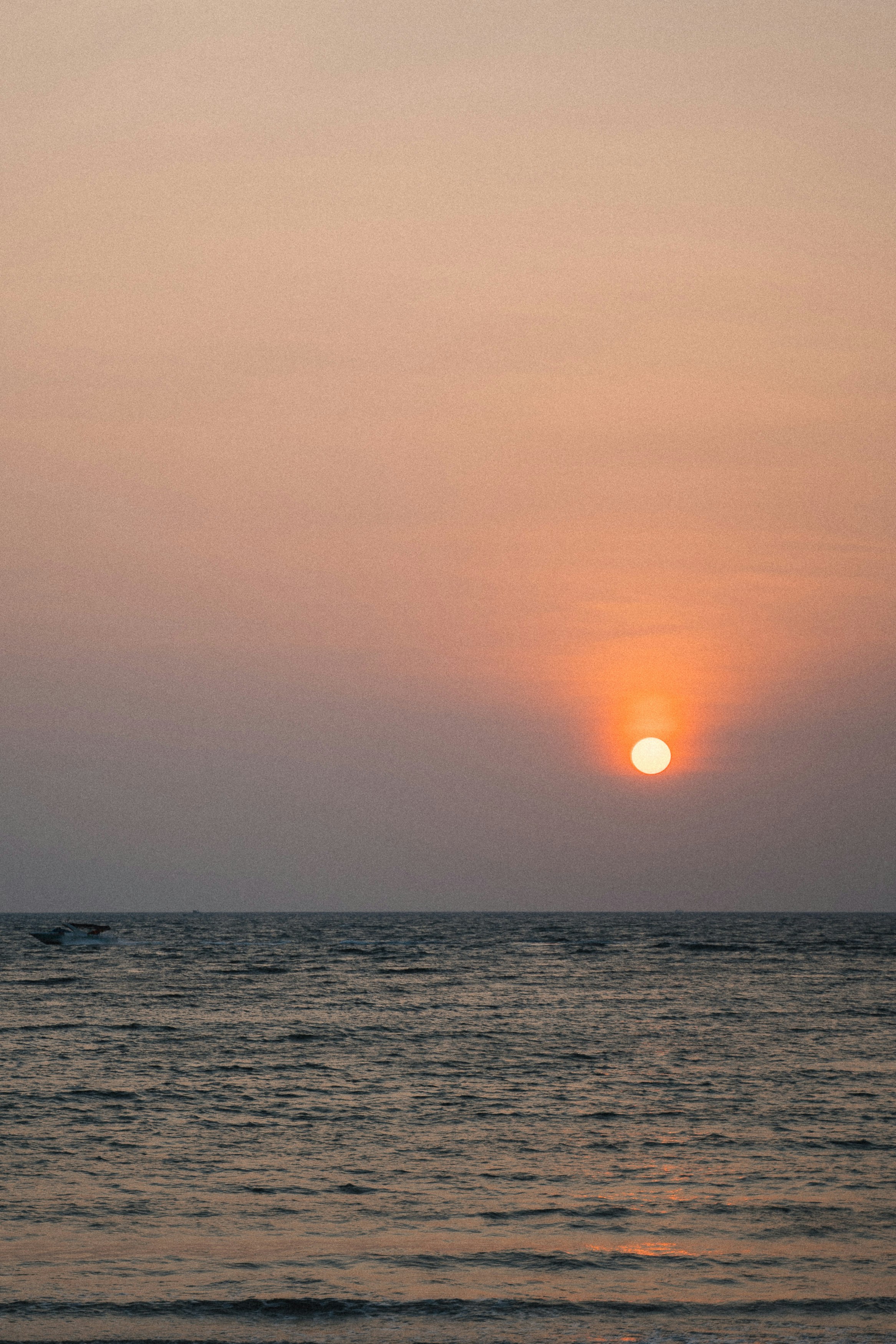 Photo by anntarazevich