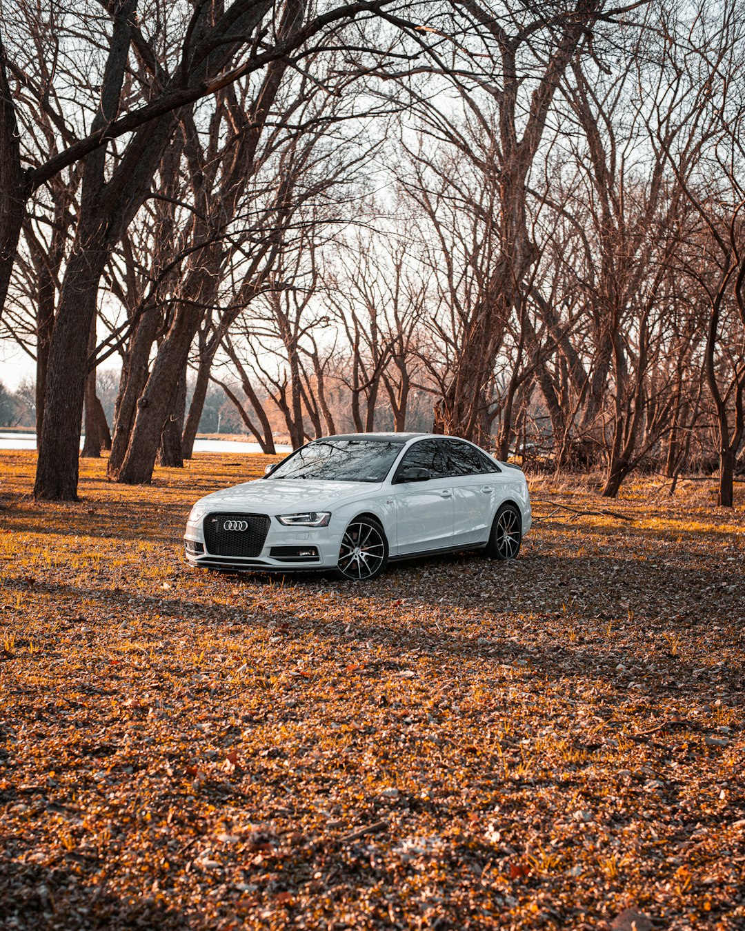 white bmw m 3 coupe parked on brown dried leaves during daytime