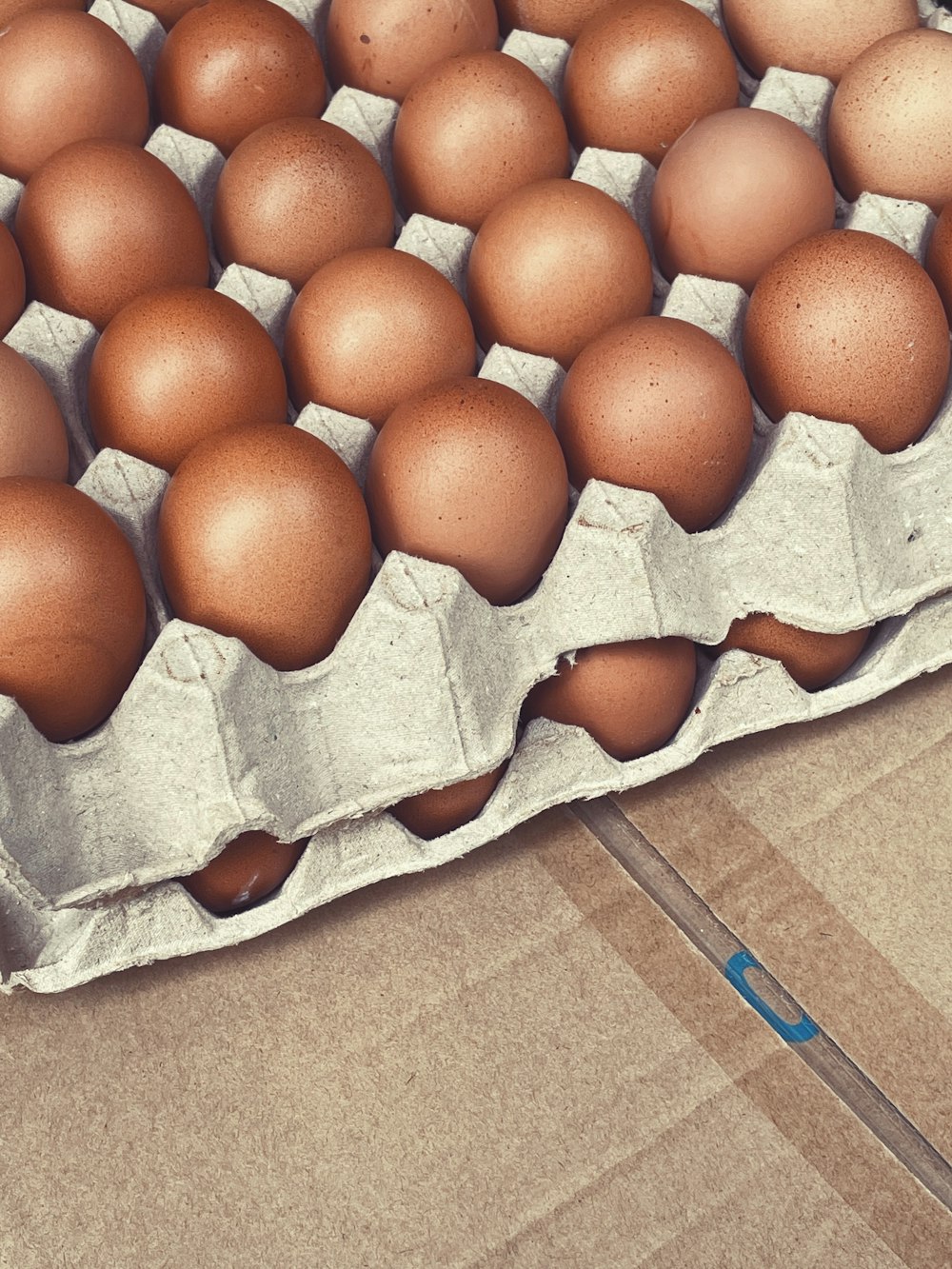 brown egg on brown cardboard box