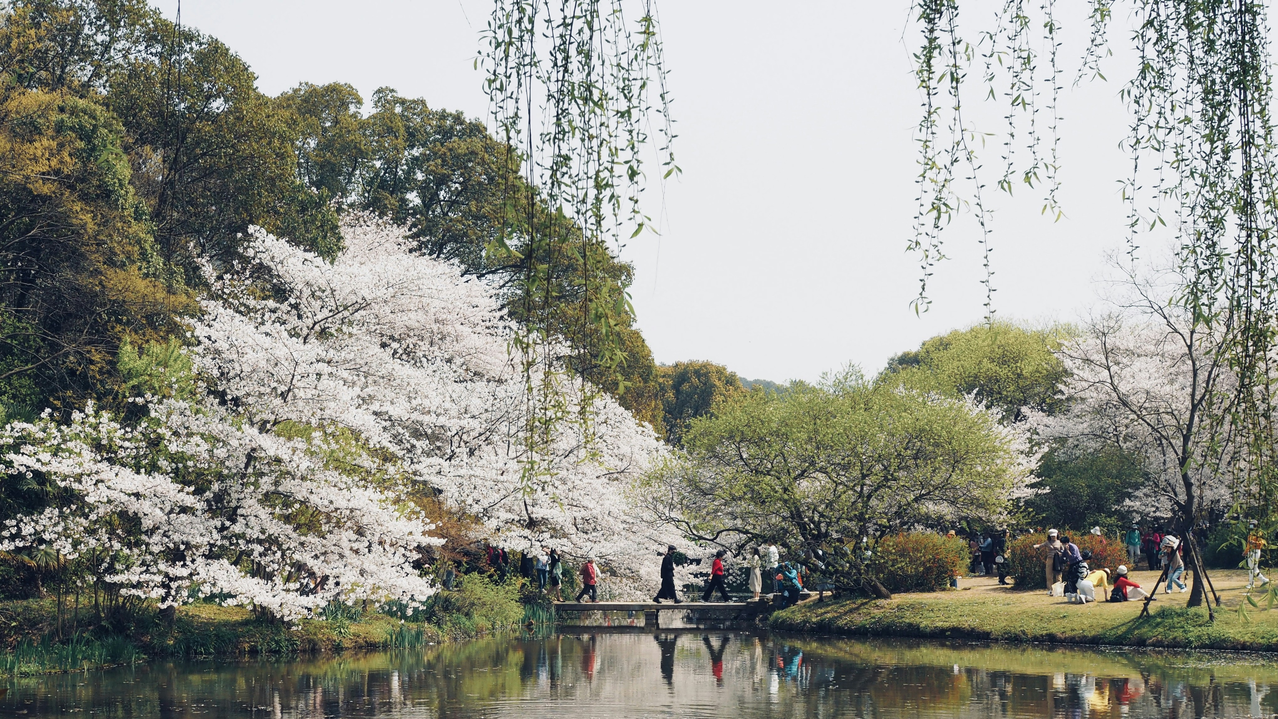 Photo by jeremyfang666