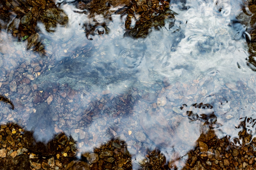 pierres brunes et noires sur l’eau