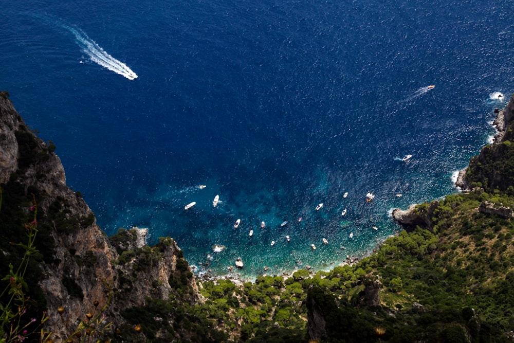 white boat on blue sea during daytime