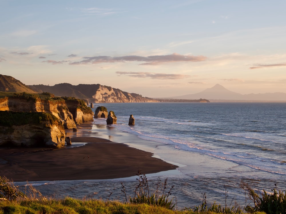 people sitting on seashore during daytime