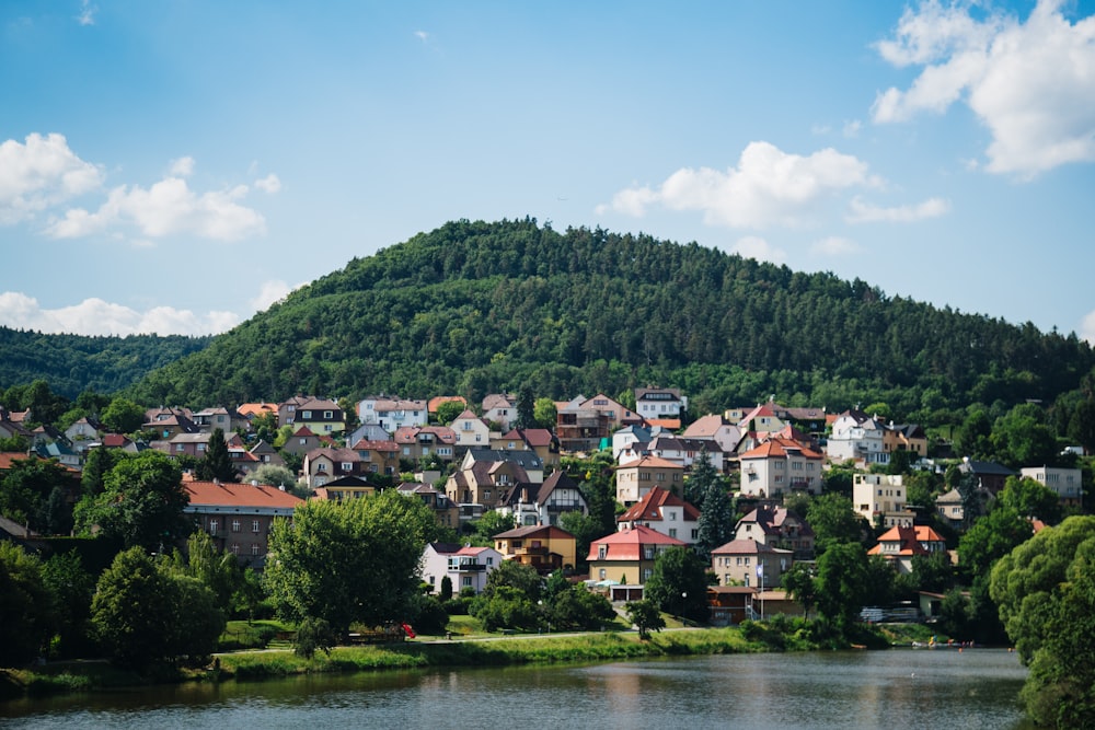 houses on green grass field near body of water during daytime