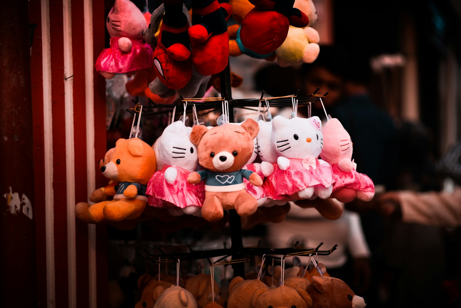 Plush teddy bears on display
