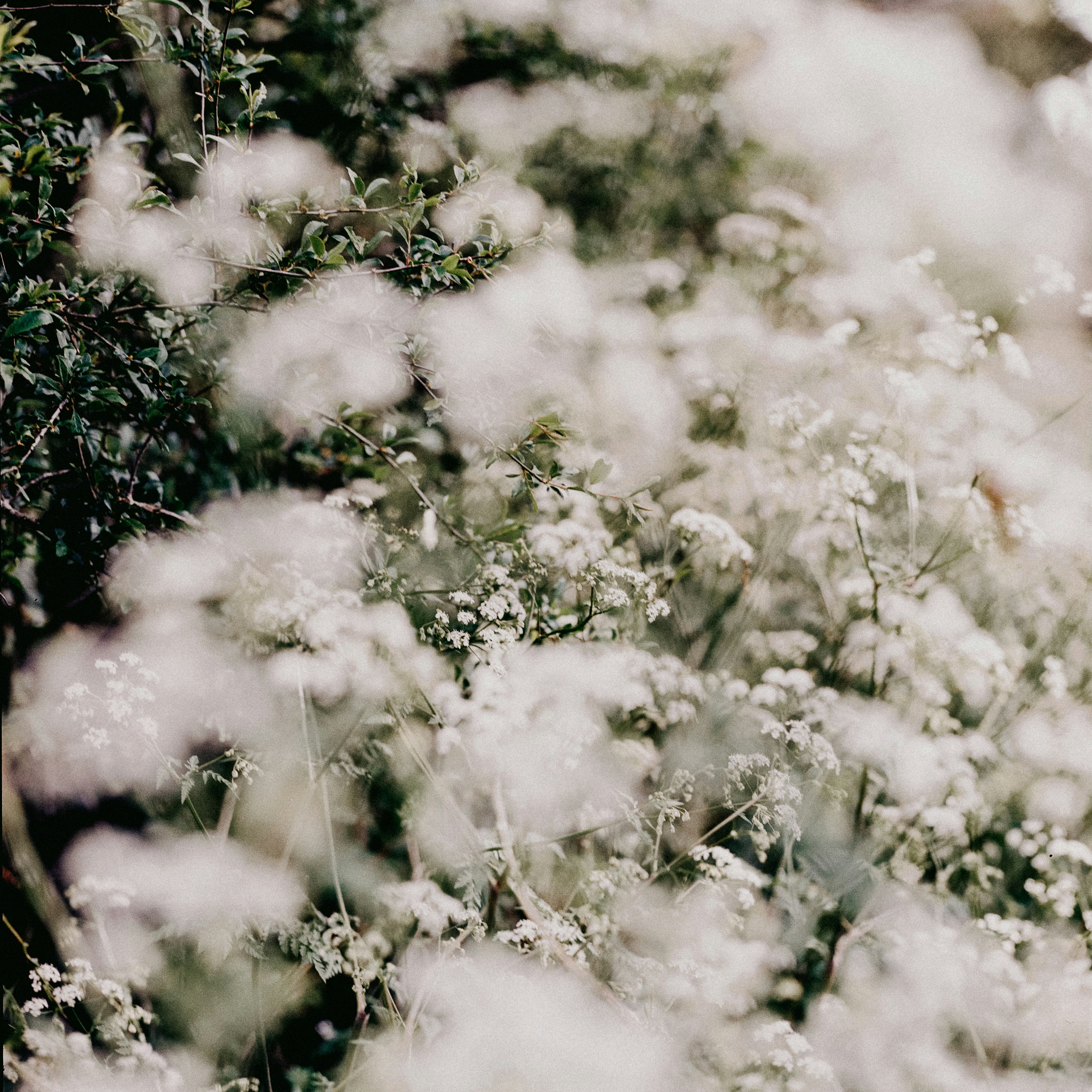 Photo by anniespratt