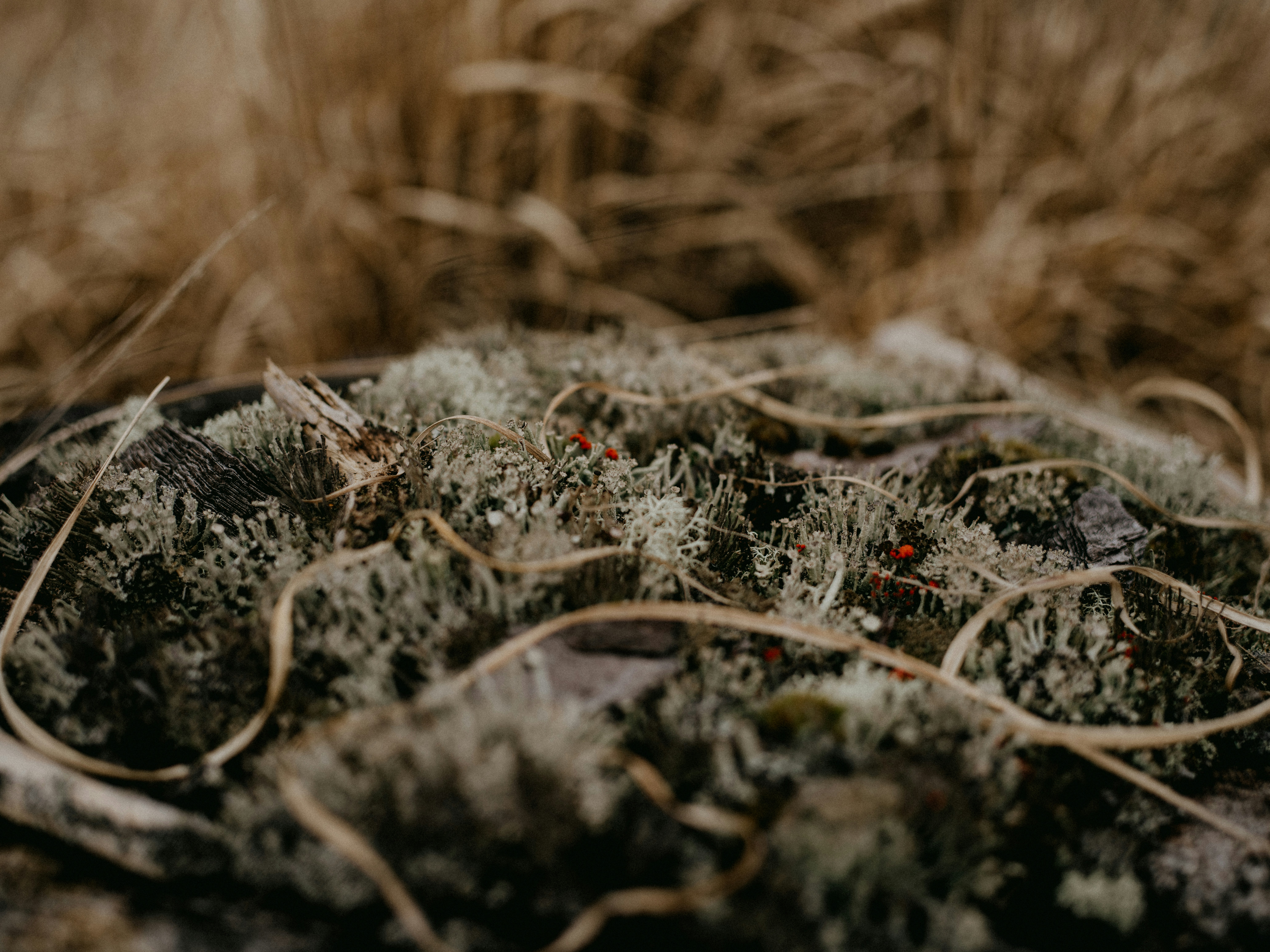 Photo by anniespratt