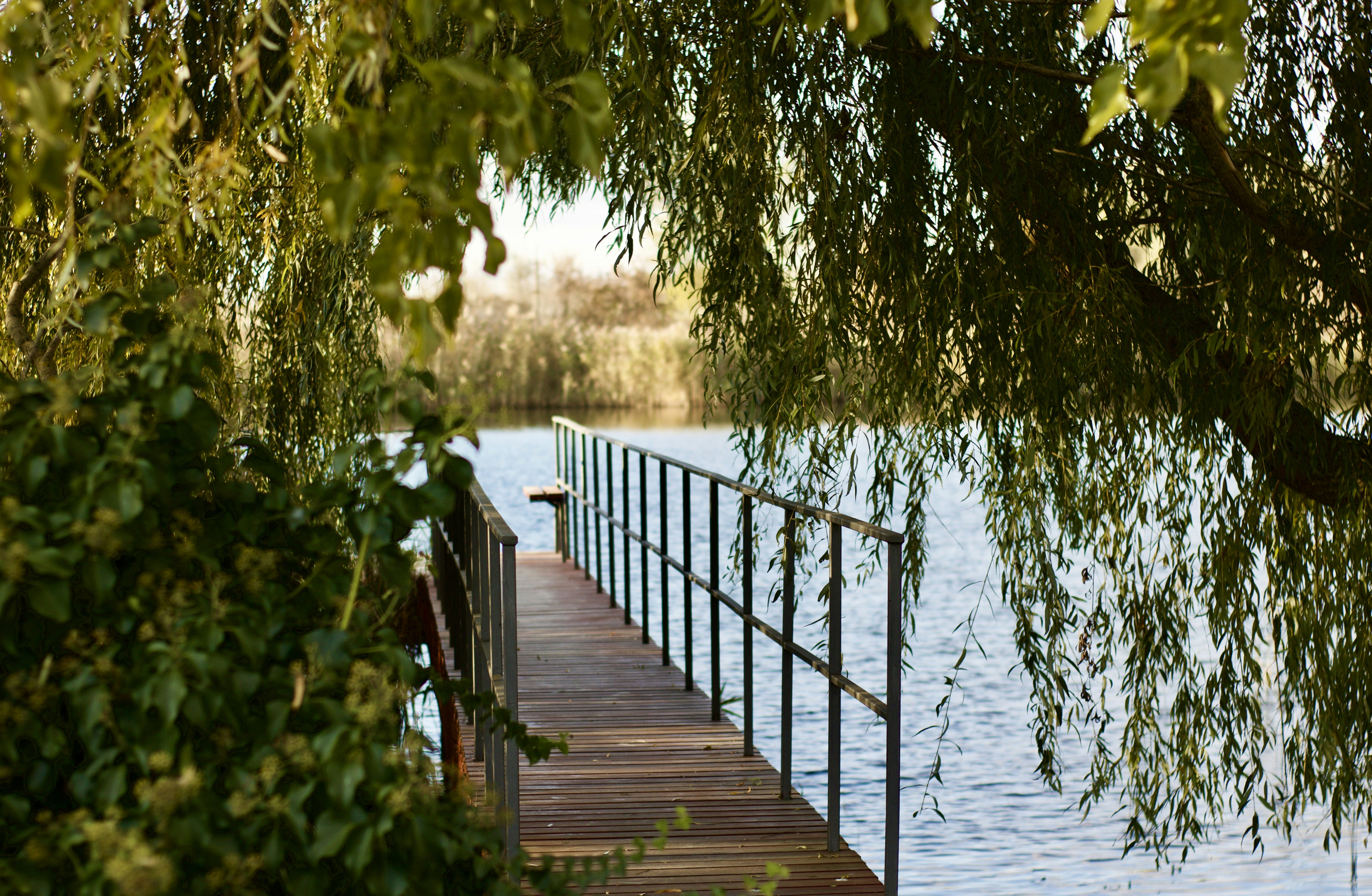 Photo by bergamot_sun