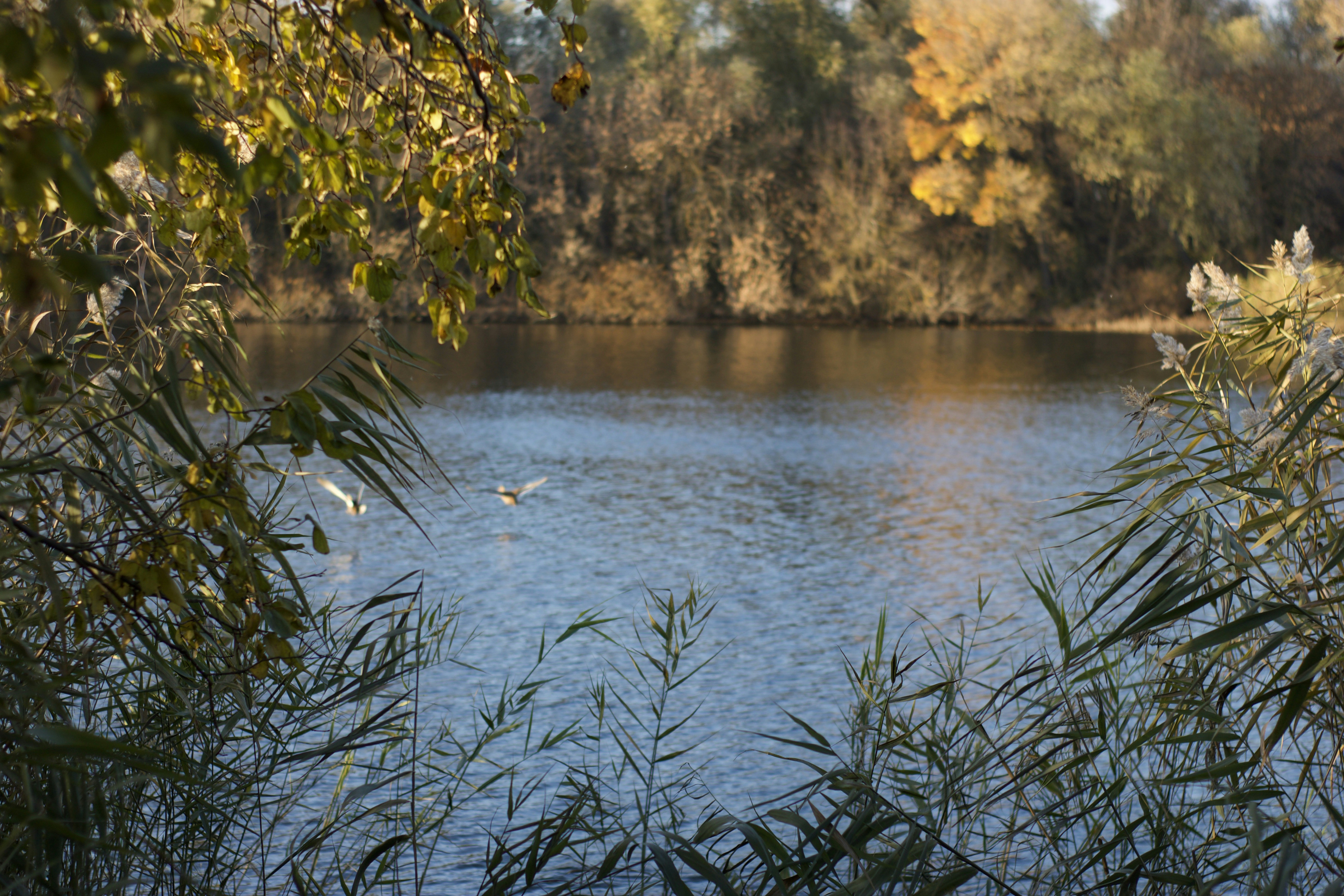 Photo by bergamot_sun