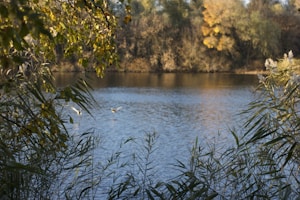 Lago Tranquilo