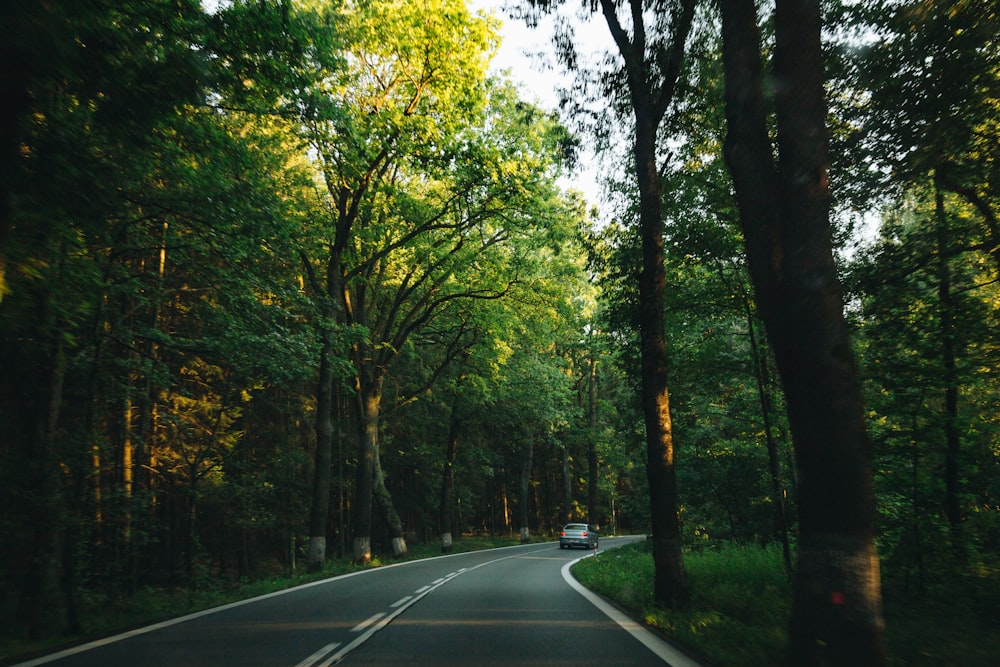 Road Green Pictures | Download Free Images on Unsplash
