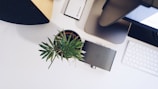 A workspace setup featuring a computer monitor, keyboard, small potted plant, and an audio device placed on a white surface. The arrangement includes a black speaker and a small box labeled with a brand name.