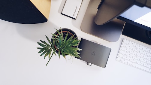 A workspace setup featuring a computer monitor, keyboard, small potted plant, and an audio device placed on a white surface. The arrangement includes a black speaker and a small box labeled with a brand name.